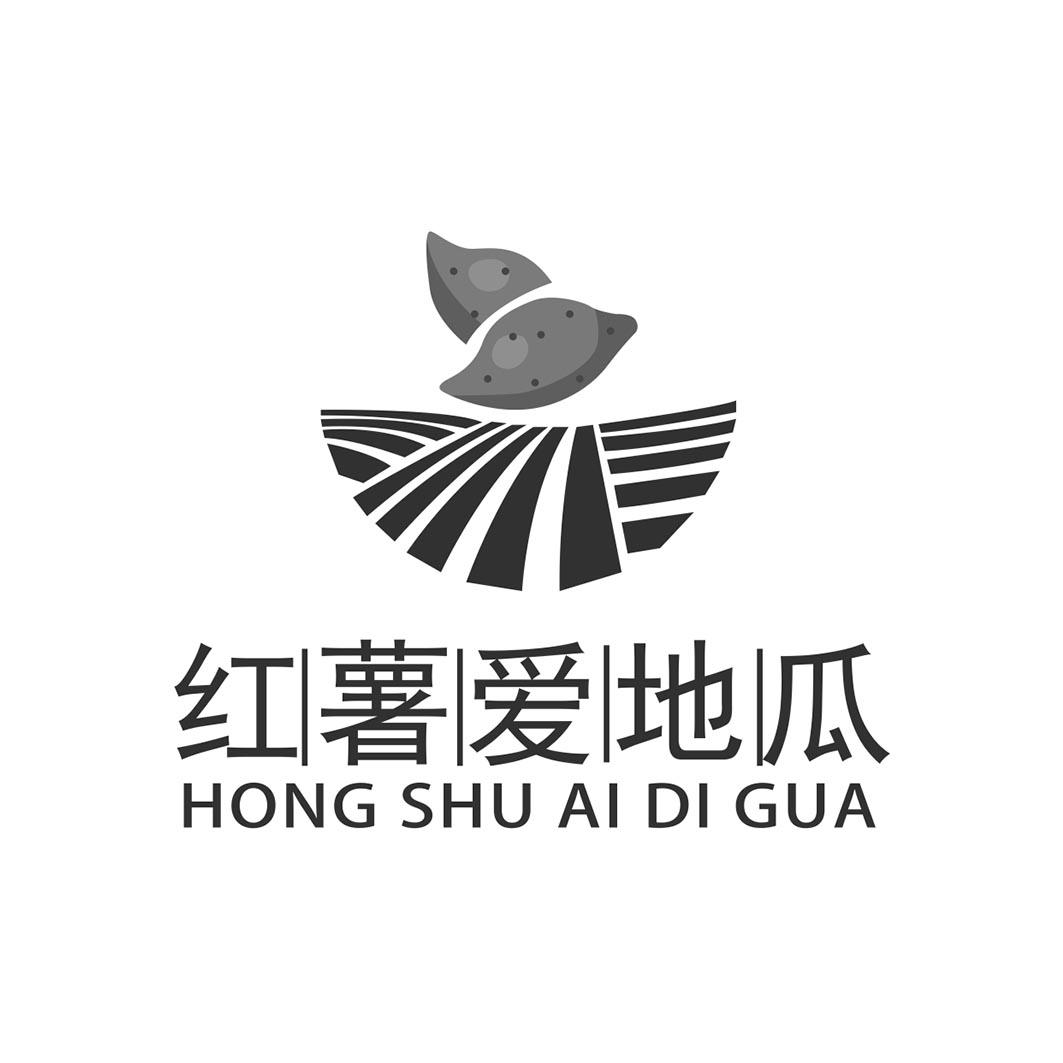 红薯爱地瓜 商标公告
