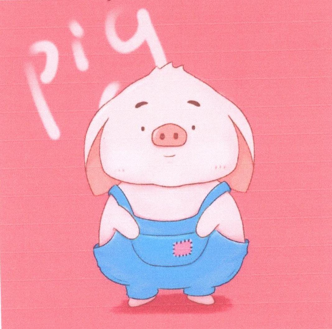 pig 商标公告