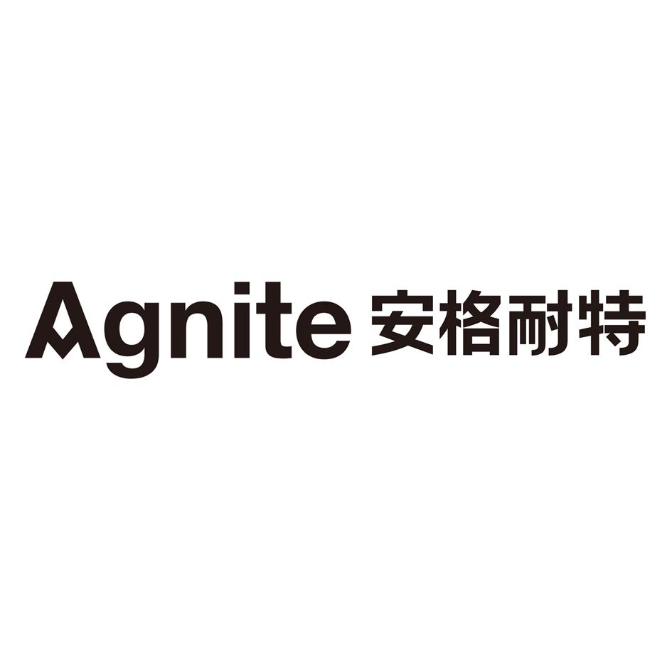 agnite 安格耐特 商标公告