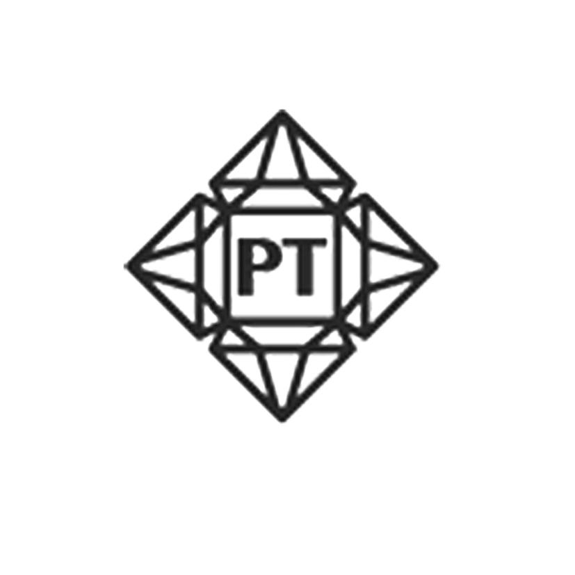 pt 商标公告