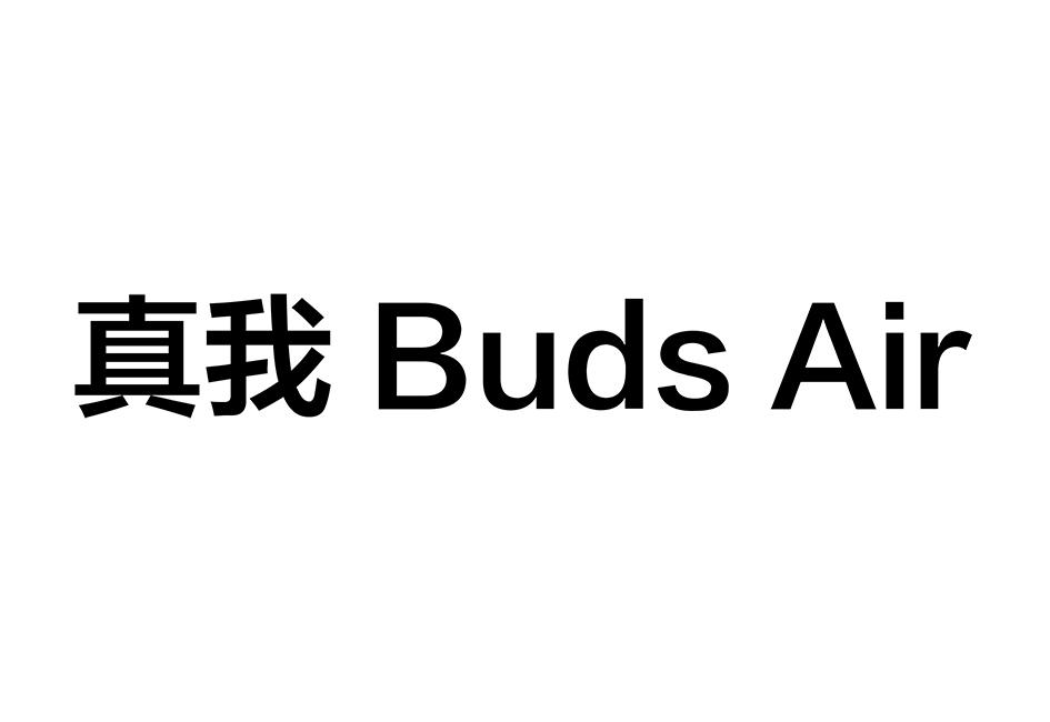 真我budsair商标公告