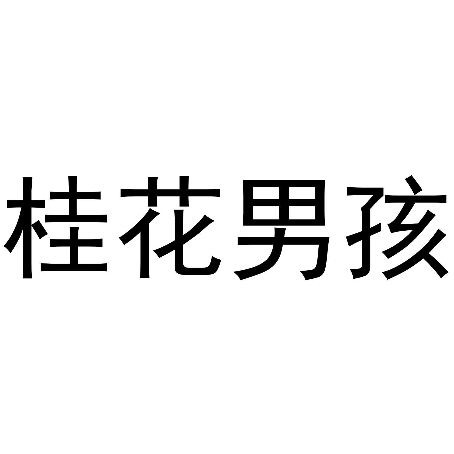 桂花男孩 商标公告