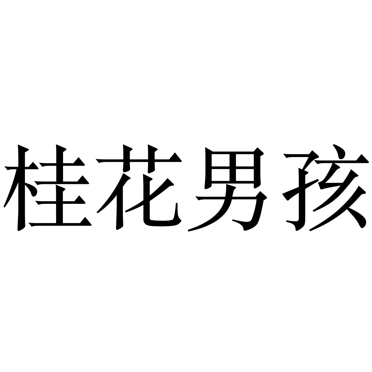 桂花男孩 商标公告