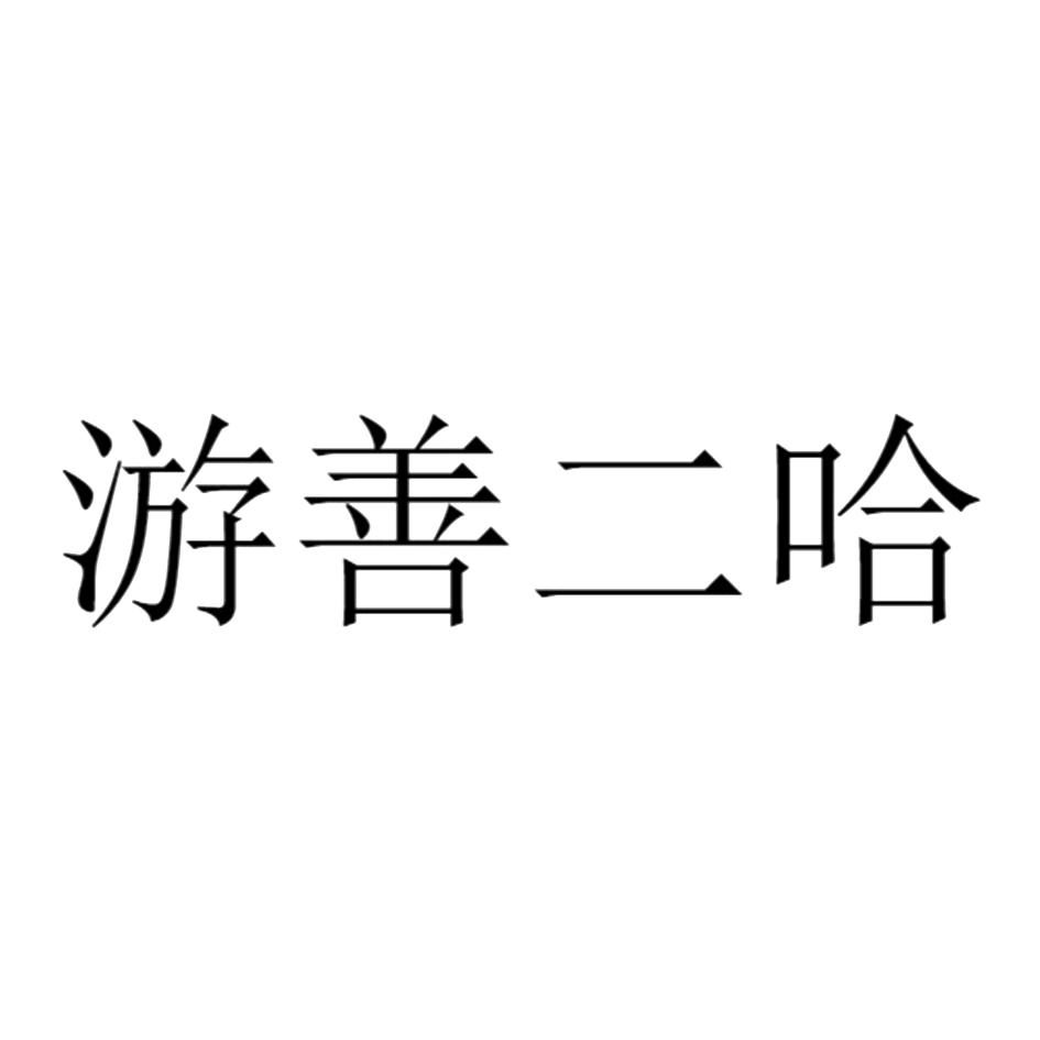 游善二哈 商标公告