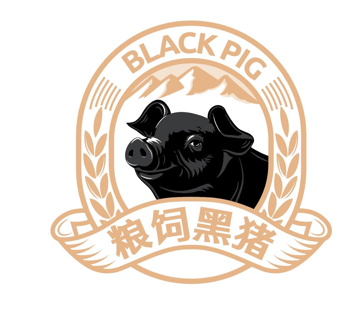 粮饲黑猪 black pig 商标公告