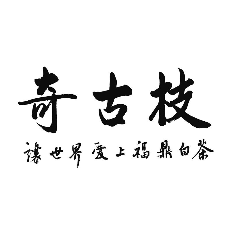 奇古枝 让世界爱上福鼎白茶 商标公告