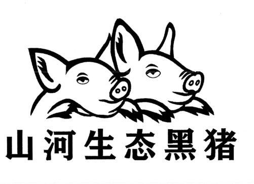 山河生态黑猪 商标公告