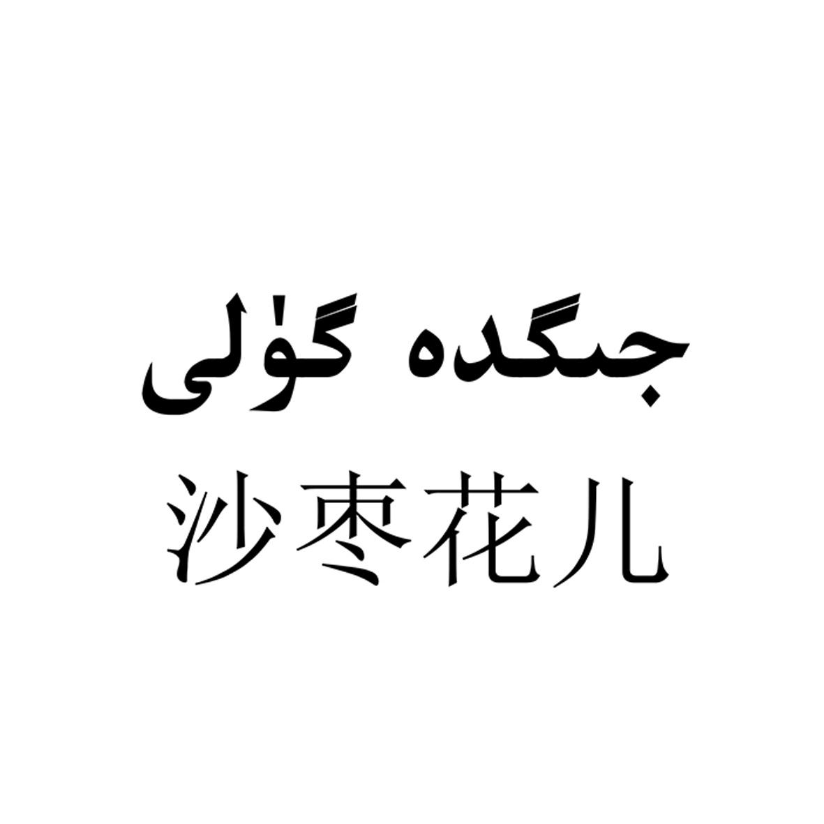 沙枣花儿 商标公告