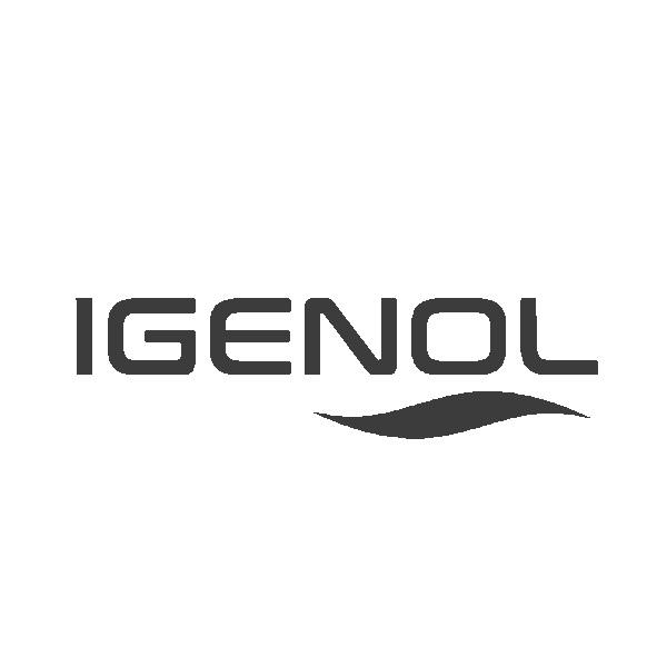 igenol 商标公告