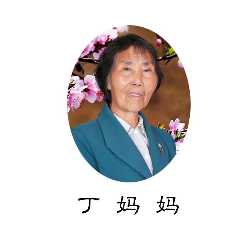 丁妈妈 商标公告