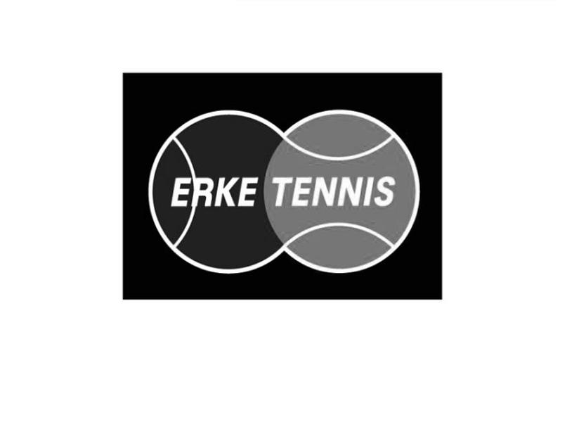 erke tennis 商标公告