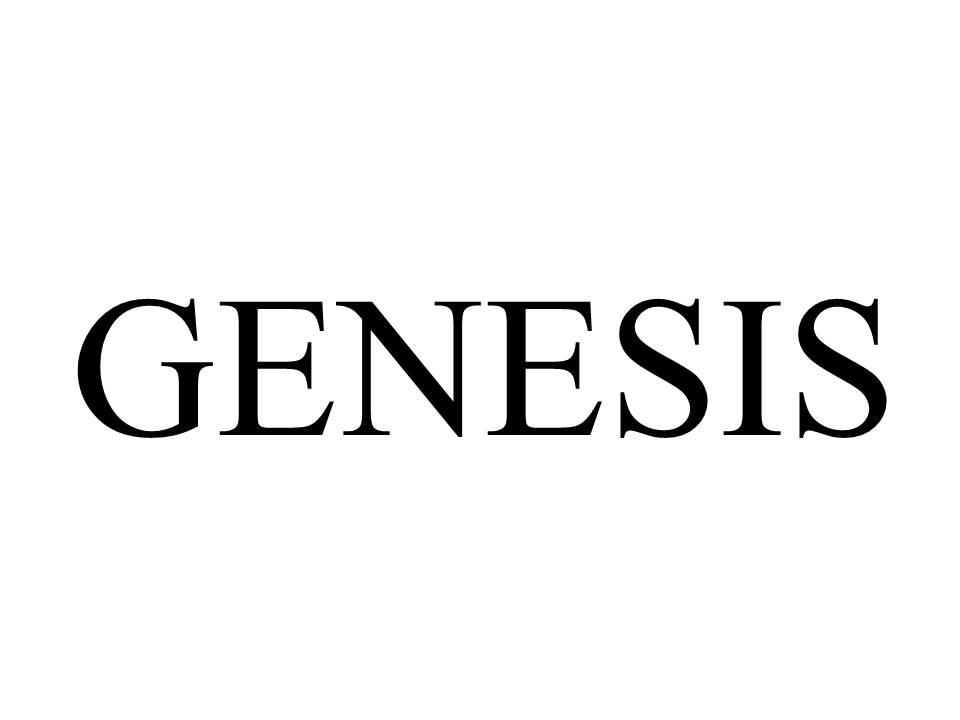 genesis 商标公告