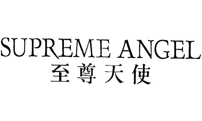 至尊天使 supreme angel 商标公告