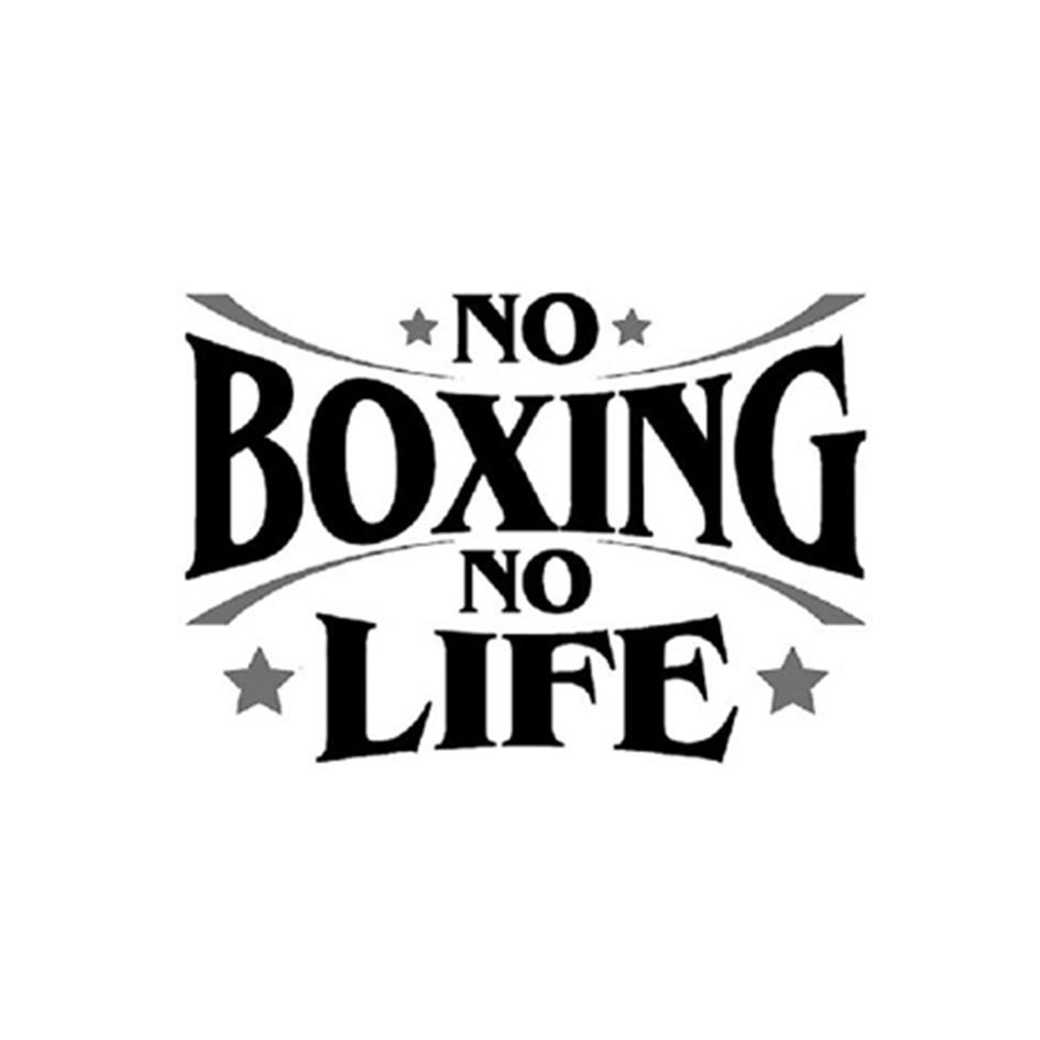 no boxing no life 商标公告