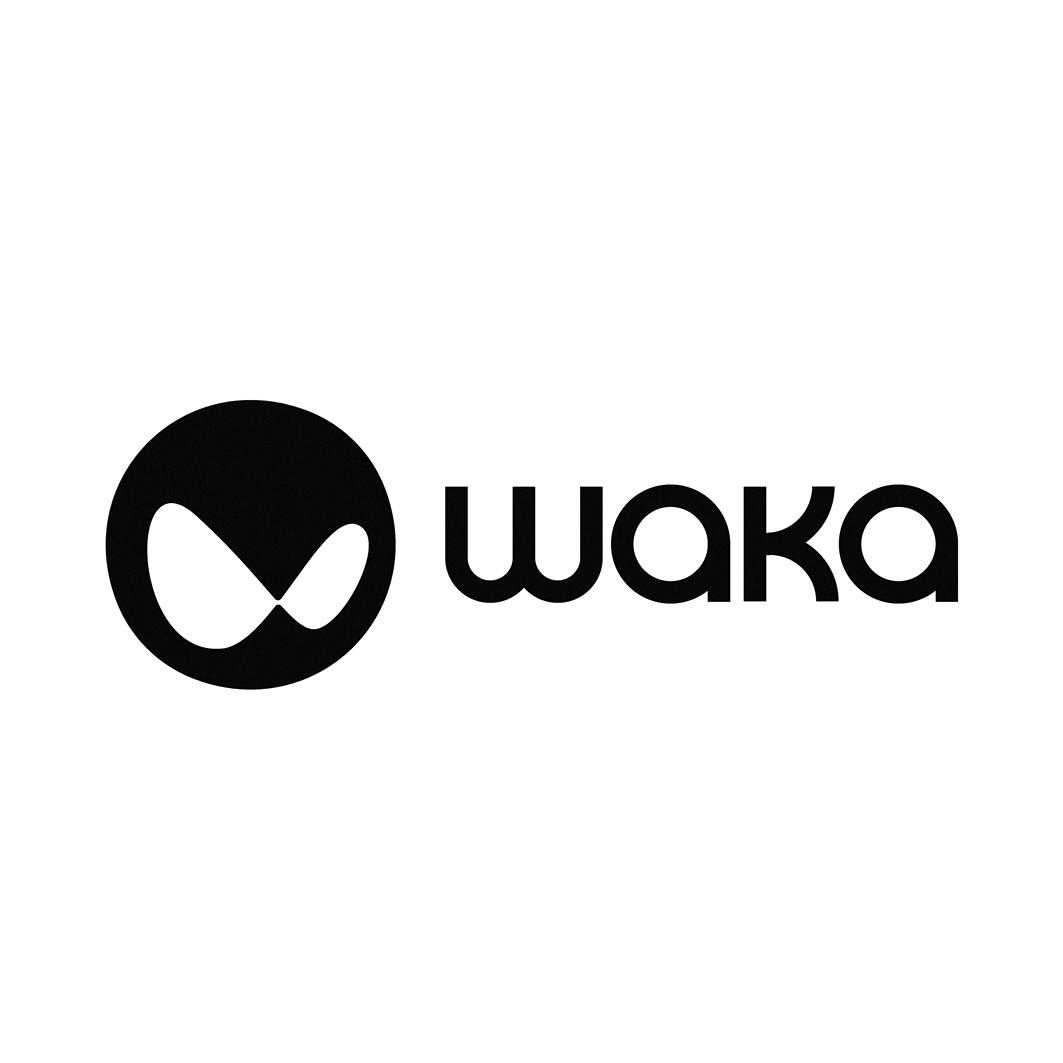 waka 商标公告